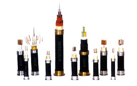 ���������Ӌ��C����̖��|