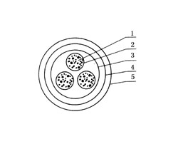 ������̖��