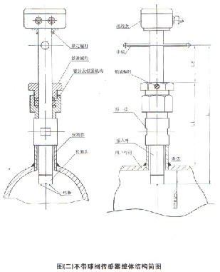 插入式電磁流量計不帶球閥結(jié)構(gòu)圖